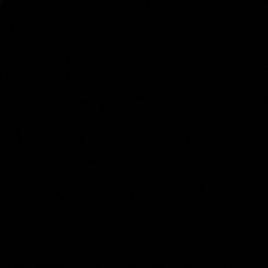 Meet your Posher, Sierra